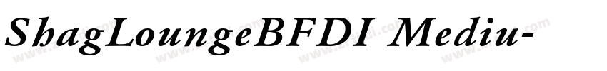 ShagLoungeBFDI Mediu字体转换
